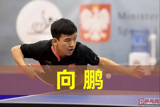 起了深厚的 起了深厚的