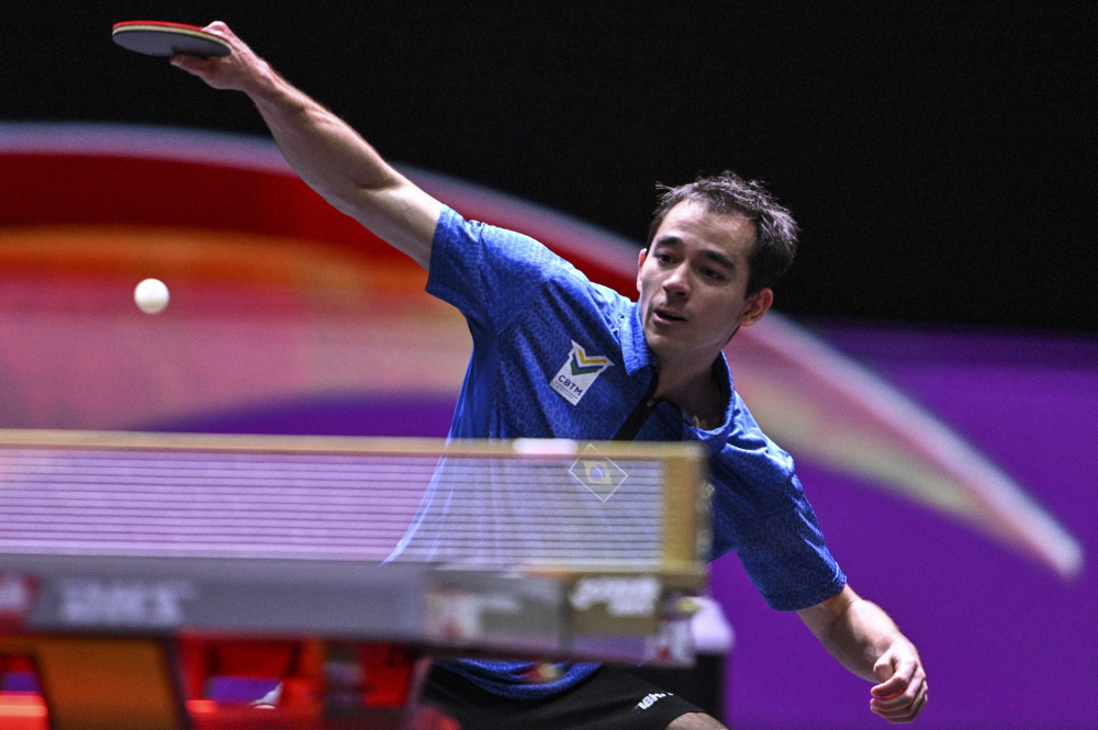 比斯利被尼 比斯利被尼